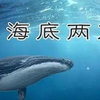 《海底两万里》04尼德·兰