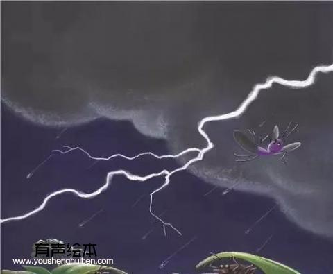 《萤火虫里奥》 第16张