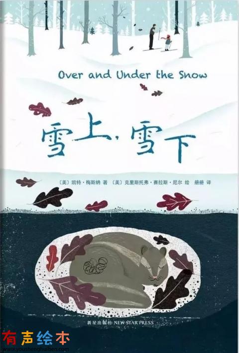 10本关于雪的绘本，让孩子遇见最美雪景！ 第6张