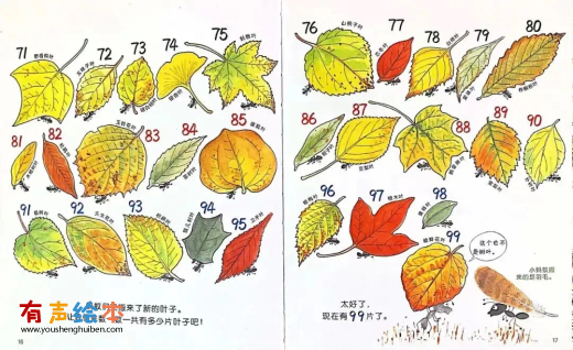 《100只蚂蚁，100片树叶》 第9张